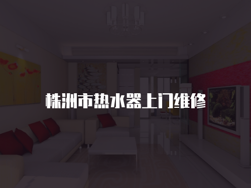 株洲市熱水器上門維修