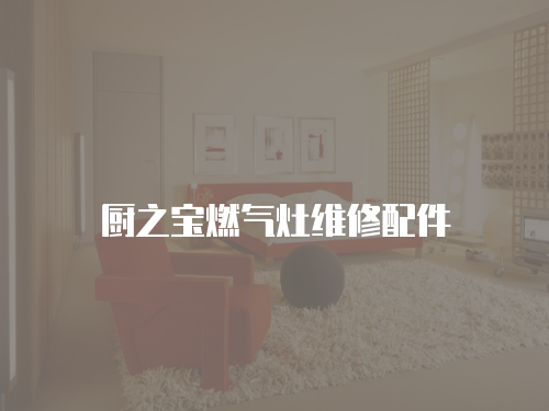 廚之寶燃?xì)庠罹S修配件
