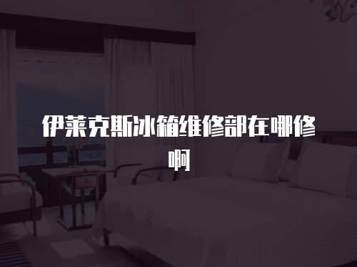 伊萊克斯冰箱維修部在哪修啊