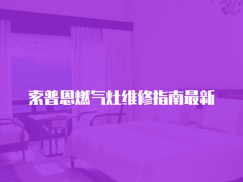 索普恩燃?xì)庠罹S修指南最新