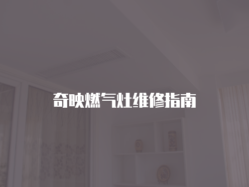 奇映燃?xì)庠罹S修指南