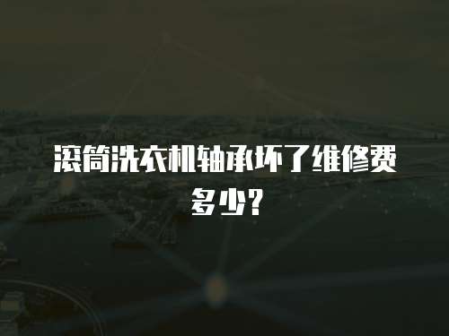 滾筒洗衣機(jī)軸承壞了維修費多少？
