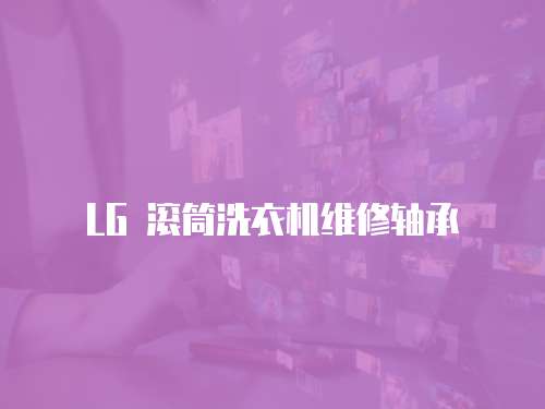 LG 滾筒洗衣機(jī)維修軸承