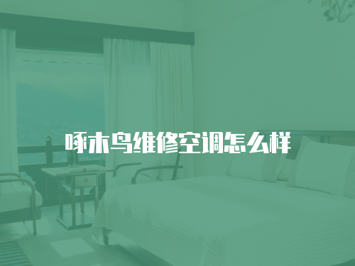 啄木鳥維修空調怎么樣