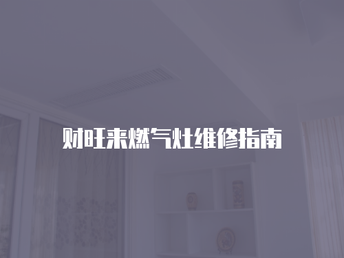 財旺來燃氣灶維修指南