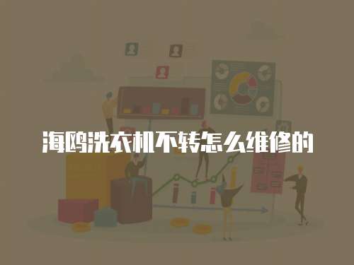 海鷗洗衣機(jī)不轉(zhuǎn)怎么維修的