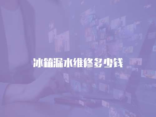 冰箱漏水維修多少錢