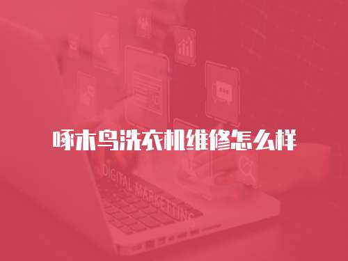 啄木鳥洗衣機維修怎么樣