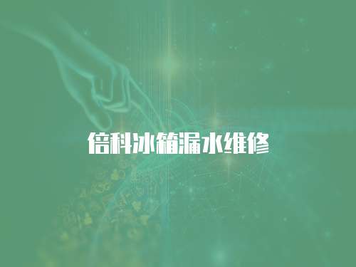 倍科冰箱漏水維修