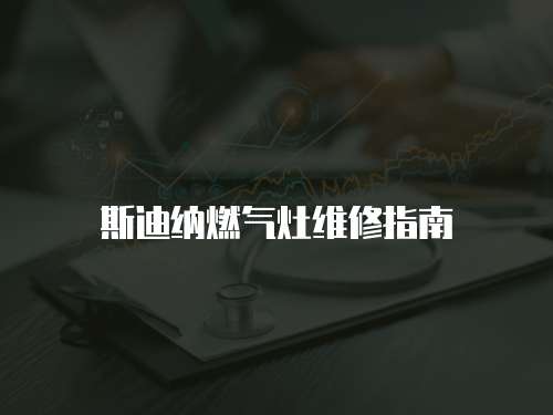 斯迪納燃?xì)庠罹S修指南