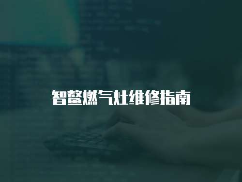 智鰲燃氣灶維修指南