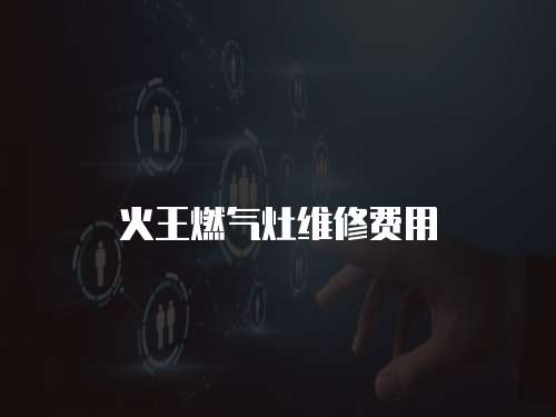 火王燃?xì)庠罹S修費(fèi)用