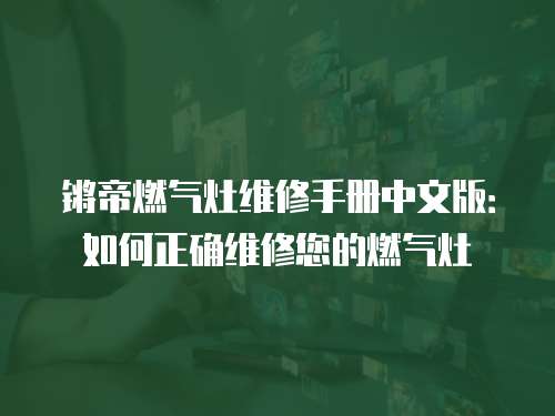 鏘帝燃?xì)庠罹S修手冊中文版：如何正確維修您的燃?xì)庠? class=