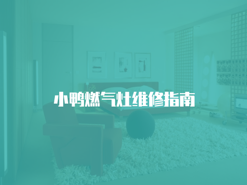 小鴨燃?xì)庠罹S修指南