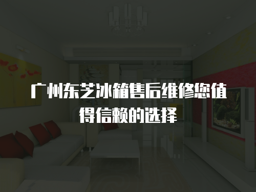 廣州東芝冰箱售后維修您值得信賴的選擇