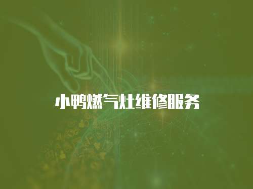 小鴨燃?xì)庠罹S修服務(wù)