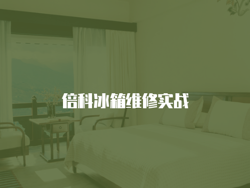 倍科冰箱維修實(shí)戰(zhàn)