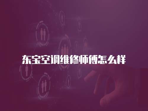 東寶空調維修師傅怎么樣