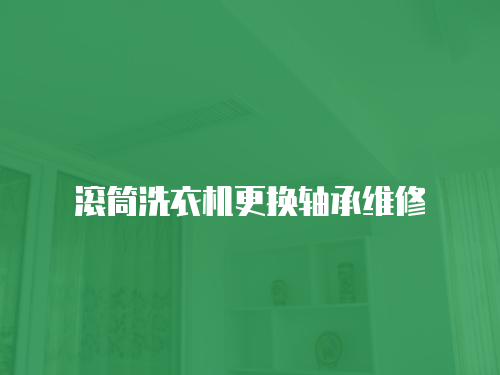 滾筒洗衣機更換軸承維修