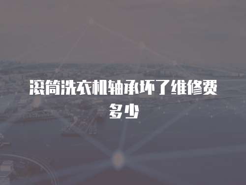 滾筒洗衣機(jī)軸承壞了維修費(fèi)多少