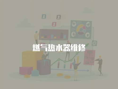 燃?xì)鉄崴骶S修