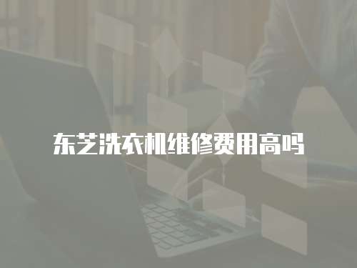 東芝洗衣機(jī)維修費(fèi)用高嗎