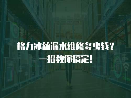 格力冰箱漏水維修多少錢？一招教你搞定！