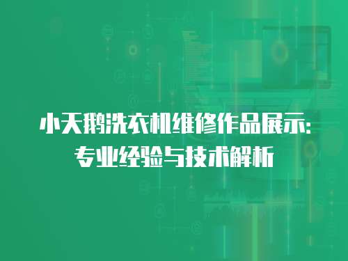 小天鵝洗衣機維修作品展示：專業經驗與技術解析