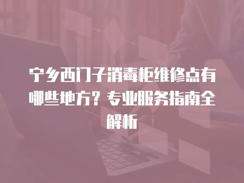 寧鄉西門子消毒柜維修點有哪些地方？專業服務指南全解析