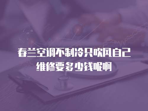 春蘭空調(diào)不制冷只吹風(fēng)自己維修要多少錢呢啊