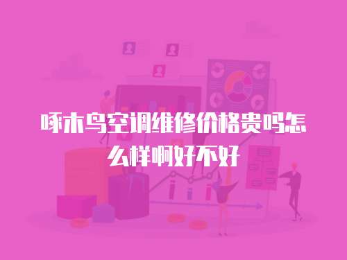啄木鳥空調維修價格貴嗎怎么樣啊好不好