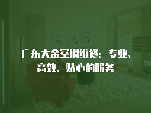 廣東大金空調(diào)維修：專業(yè)、高效、貼心的服務(wù)
